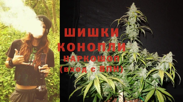 тгк Михайлов
