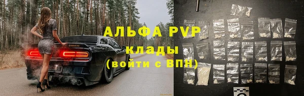 тгк Михайлов