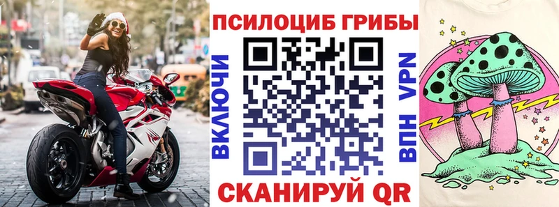 Купить закладки  Мостовской  Псилоцибиновые грибы прущие грибы 